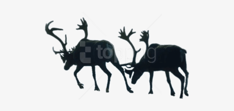 Silhouette, transparent png