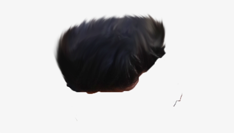 Hair Png ➤ Download - Animal, transparent png
