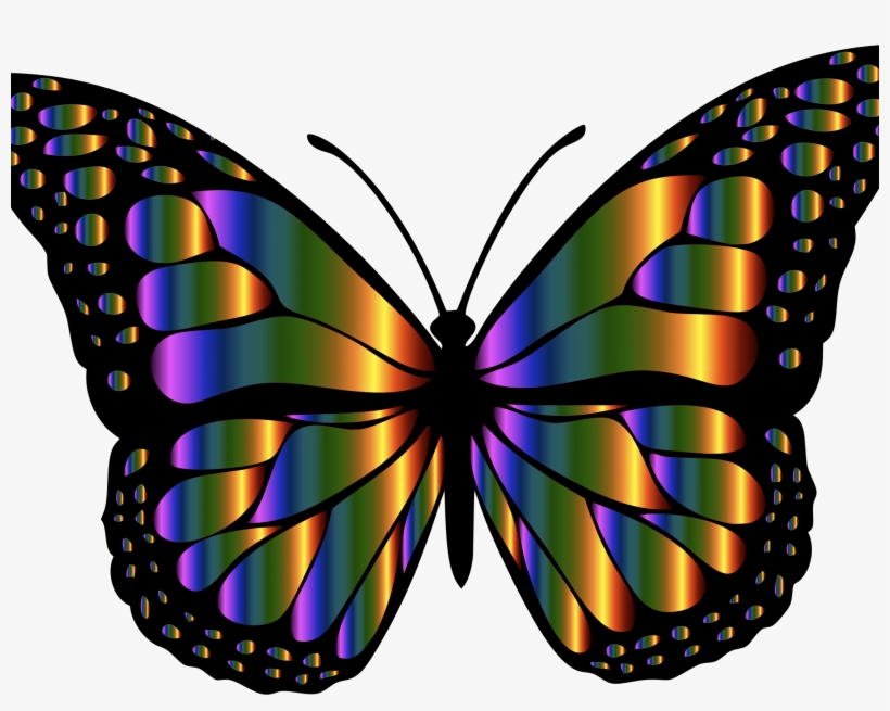 Butterfly Insects, transparent png