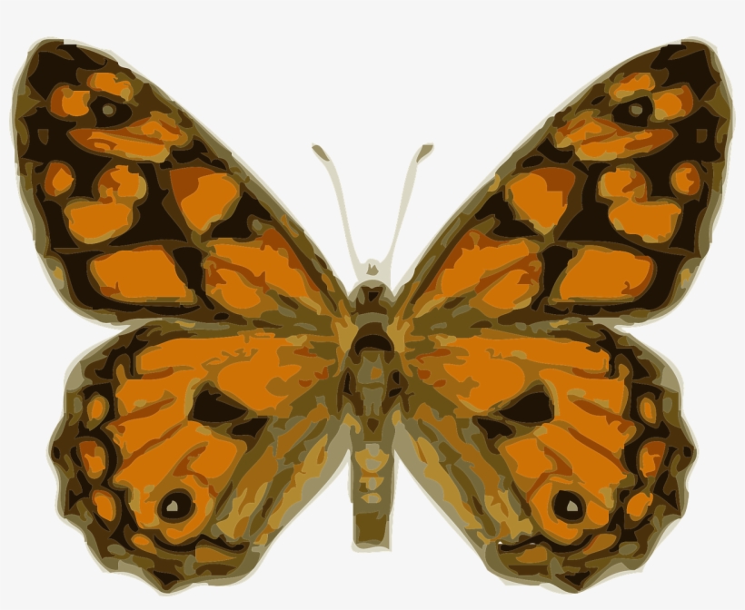 Butterfly Insect Monarch Wings Png Image - Imagenes De Insectos Con Alas, transparent png
