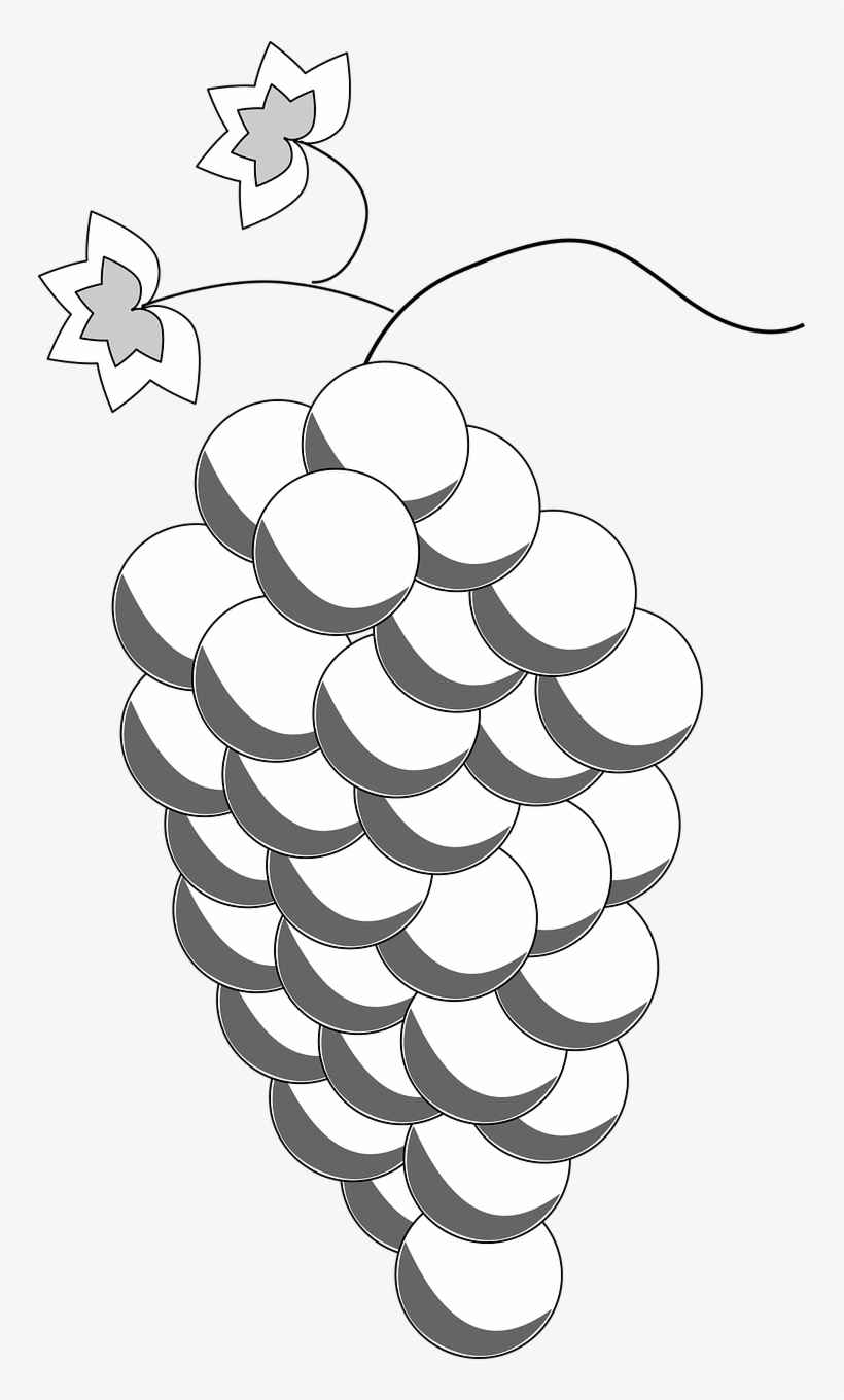 Clips Eat Edible Food Fruit Png Image - วาด ผล ไม้ องุ่น, transparent png