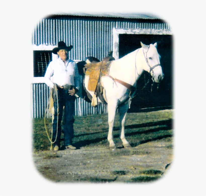 Obituary For Jimmie Forrest Qualls - Stallion, transparent png