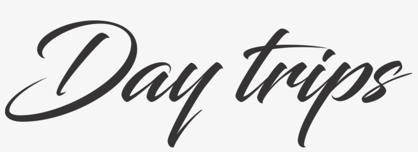 Wine Tasting In Brda - Calligraphy, transparent png