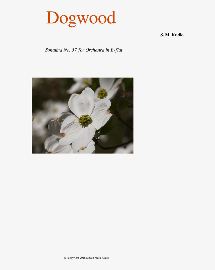 Dogwood Sheet Music For Flute, Clarinet, Oboe, Bassoon - Dermaroller, transparent png