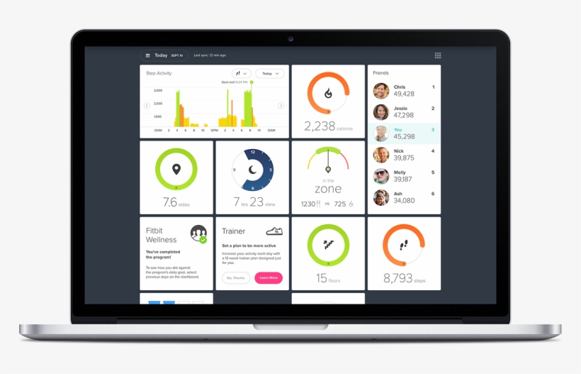 Dashboard-768x447 - Fitbit Plus, transparent png