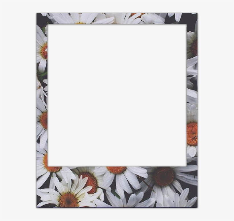 Old But Gold - Picture Frame, transparent png