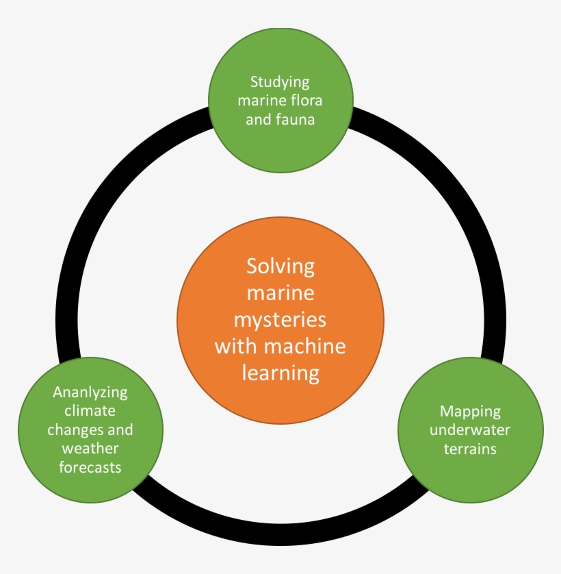 Applying Ai And Machine Learning To Marine Mysteries - Gender Sensitization, transparent png
