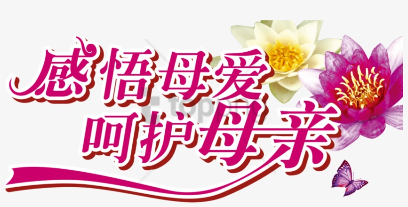 Free Png Mothers Day Typography- 母亲 节 Png Image With - 母亲 节, transparent png