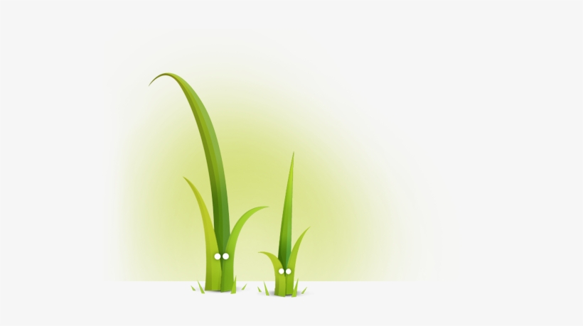 Twig - Grass, transparent png