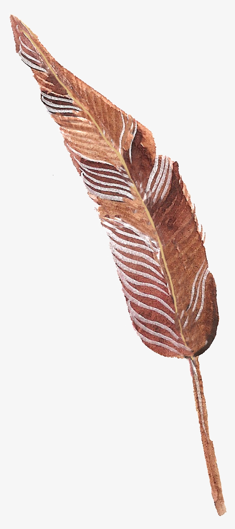 Zongbai Feather Transparent Decorative - Portable Network Graphics, transparent png