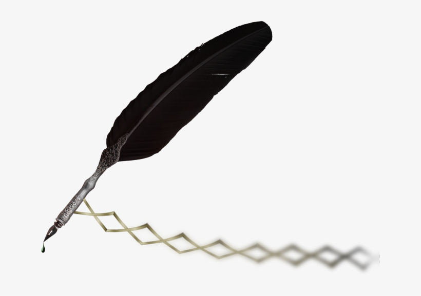 I Am Sorry - Plastic, transparent png