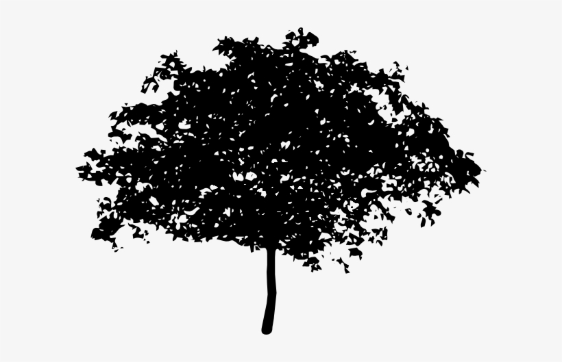 Tree Silhouette Clip Art At Clker, transparent png