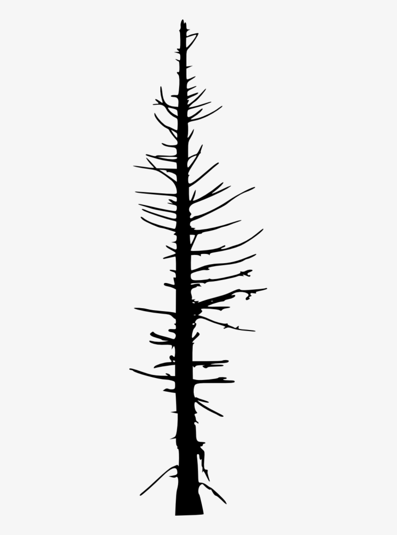 Png File Size - Portable Network Graphics, transparent png