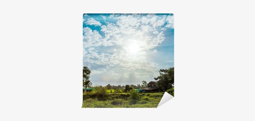 Shining Sun With Lens Flare - Grass, transparent png