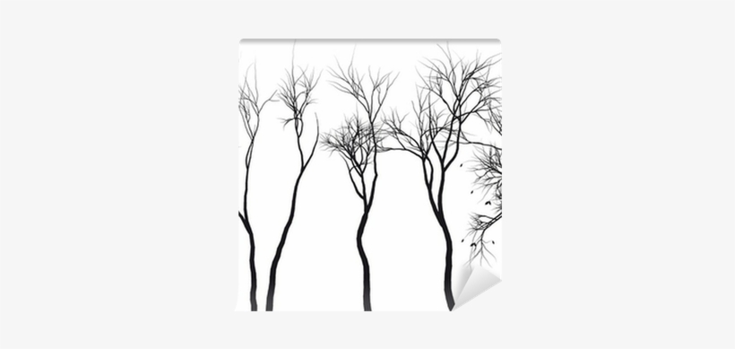 Tree Silhouette Vector, transparent png