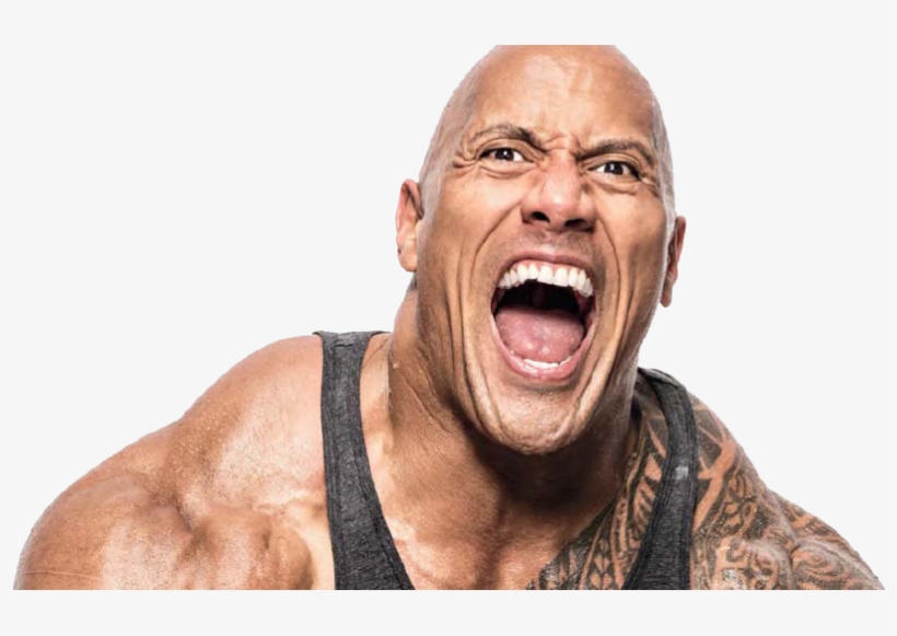 Dwayne The Rock Johnson Net Worth - Dwayne Johnson, transparent png