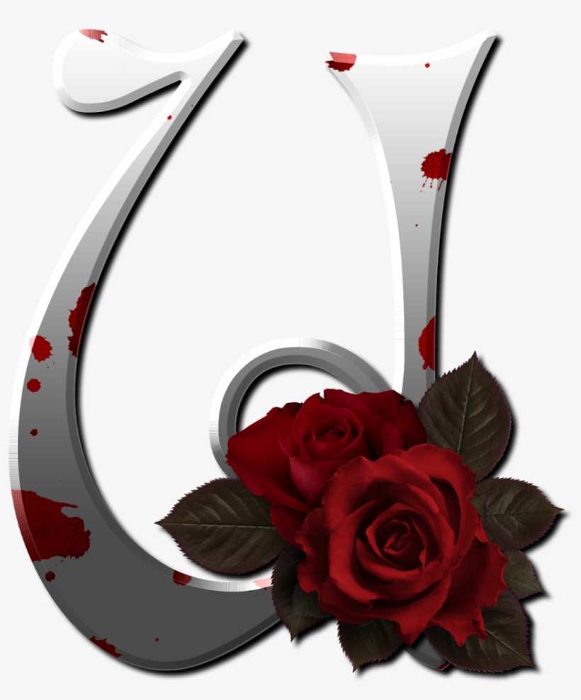 Marcos Gratis Para Fotos - Letter, transparent png