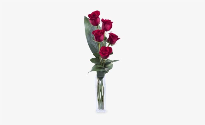 Amor E Elegancia - Ramo De 5 Rosas, transparent png