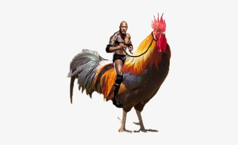 Ftestickers Freetoedit Dwaynejohnson Dwayne Johnsonfree - You Ve Heard Of Elf On The Shelf Meme, transparent png