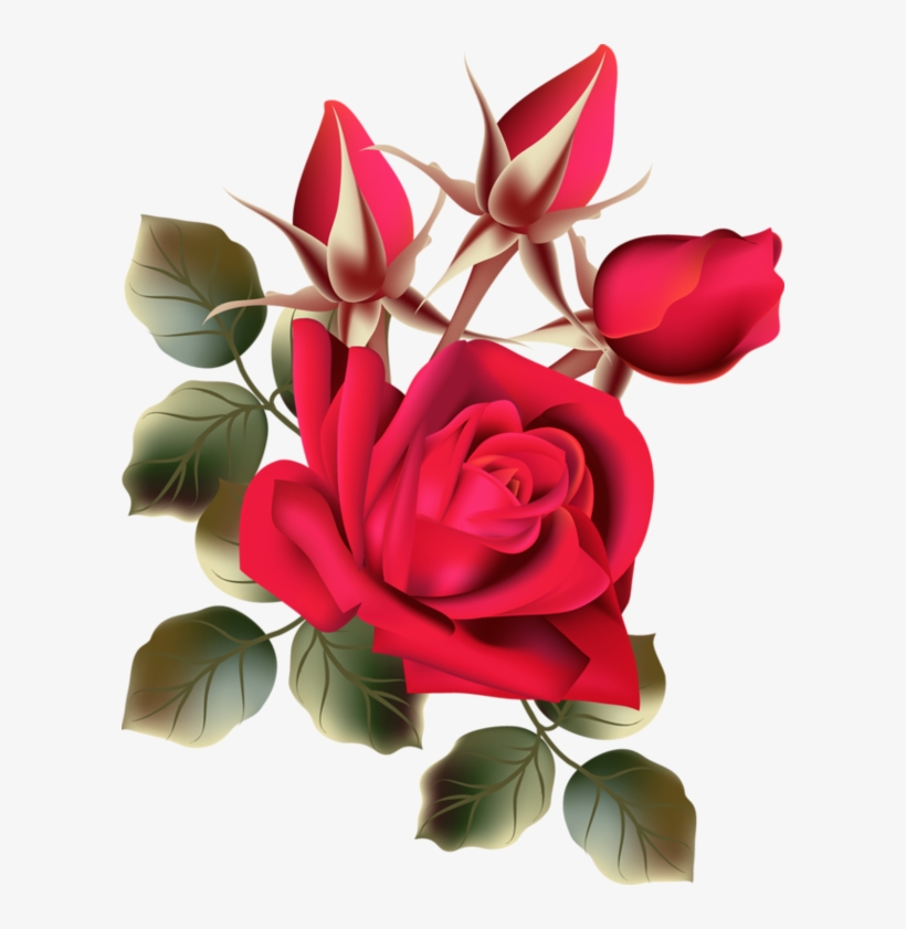 Image Du Blog Zezete2 - Fresh Rose Flowers Png, transparent png