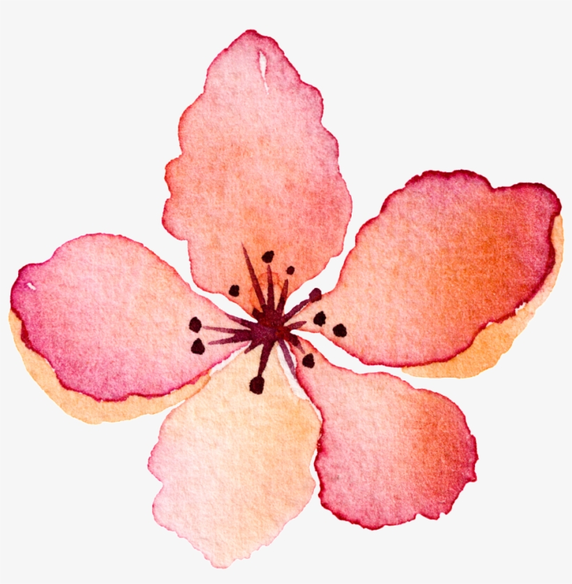 Flores Rojas Pintadas A Mano, transparent png