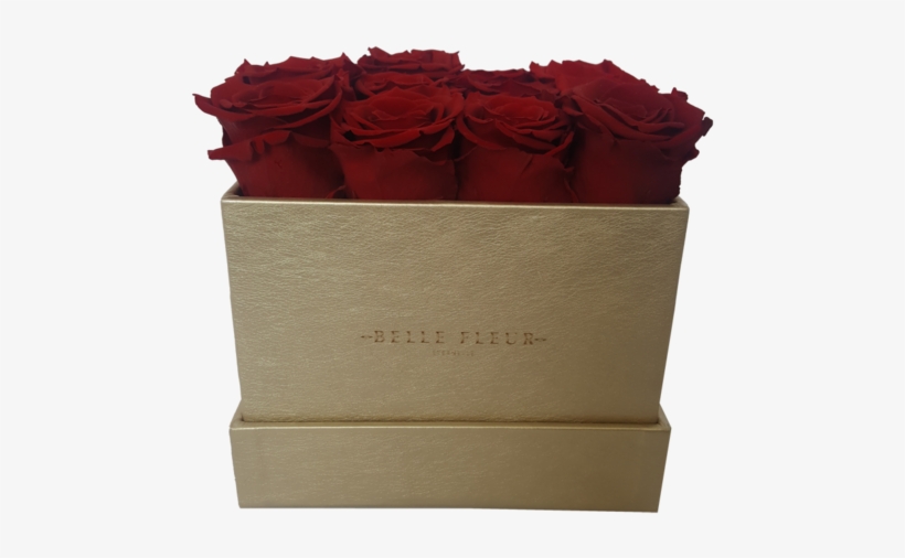 El Contexto Es Todo - Box, transparent png