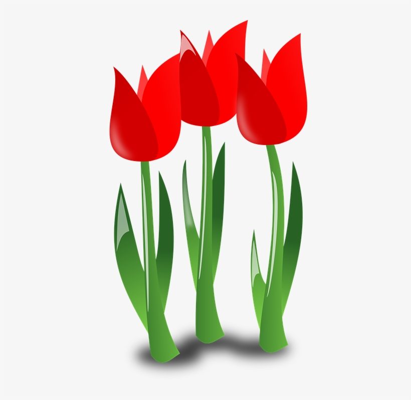 ver Y Descargar 30 Flores Y Rosas Rojas Gratis Para - Mothers Day Flowers Clipart - 406x720 PNG Download - PNGkit ver Y Descargar 30 Flores Y Rosas Rojas Gratis Para - Mothers Day Flowers Clipart - 406x720 PNG Download - PNGkit