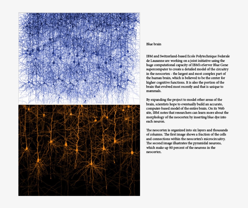 My Current Favorites - Poster, transparent png