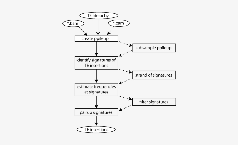 Popte2 Flow - Diagram, transparent png