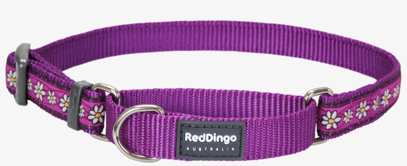 Dog Collar Png - Red Dingo Daisy Chain Purple Large Martingale Collar, transparent png