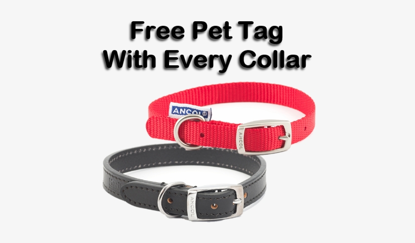 ancol heritage collar