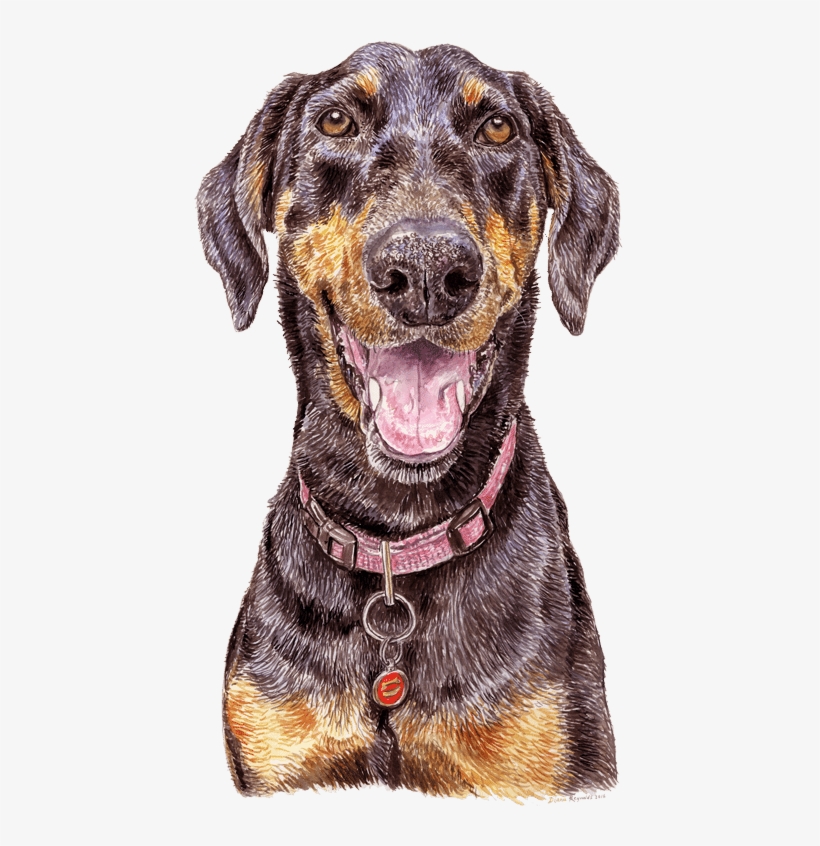 Dog Yawns, transparent png