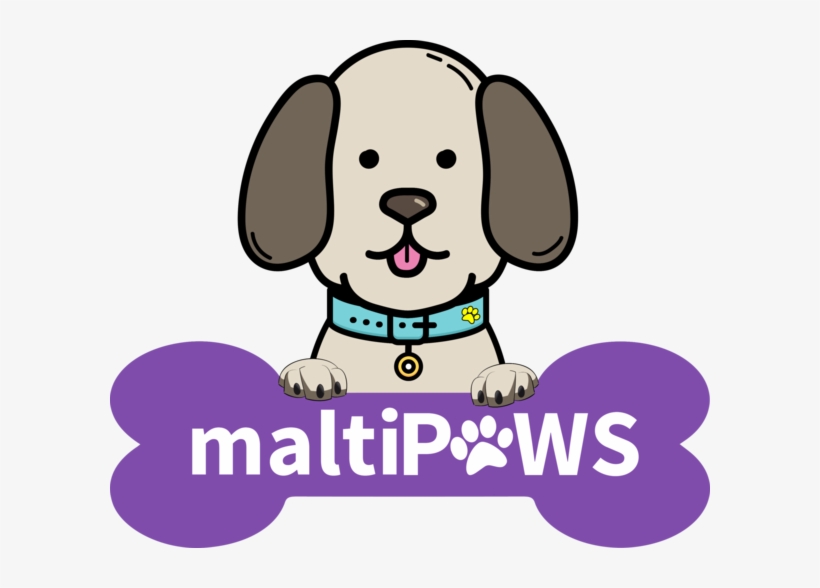 Maltipaws - Dog, transparent png