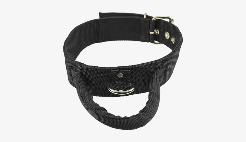 2" Poly Web Collar With Handle - Dog Collar With Handle, transparent png