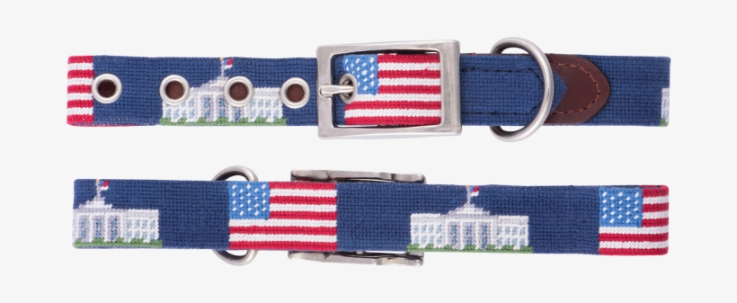 More Views - Belt, transparent png