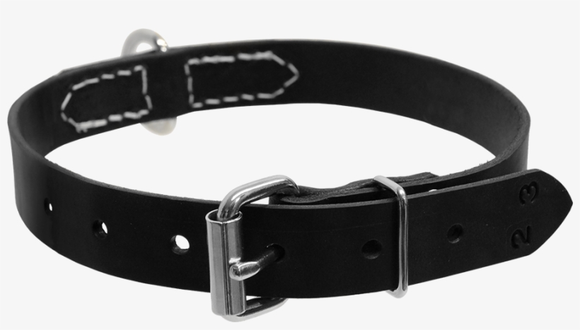 Center D Ring Collar - Activedogs.com Single Layer Center D-ring Leather Dog, transparent png