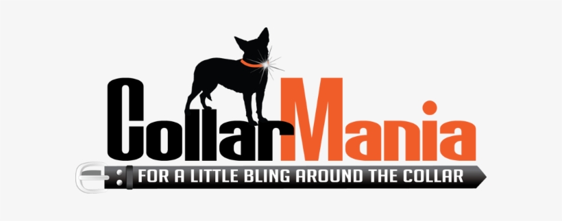 Order Custom Collars - Collar, transparent png