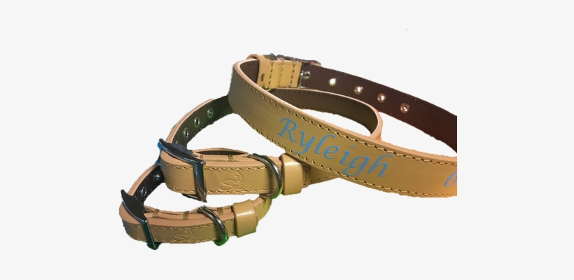 The Name On The Collar Will Be In All Caps - Belt, transparent png