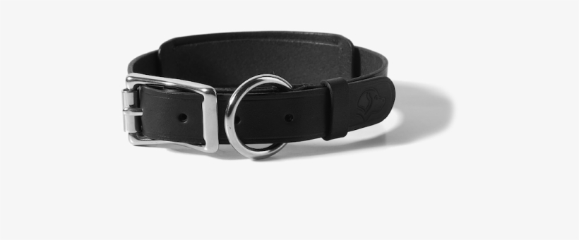 Dog Collar - Black - Voyej - Leather Goods, transparent png