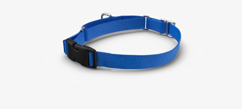 Dog Collar Png Pic - Dog Collar Png, transparent png