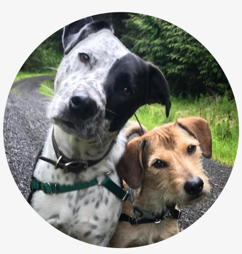 Flynn&jack-circular - Portable Network Graphics, transparent png