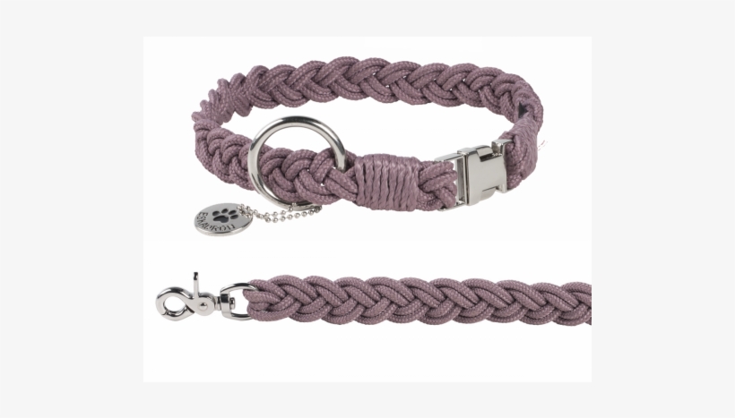 Eskadron Dog Collar, transparent png