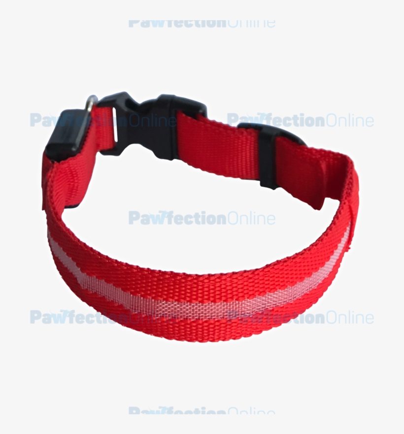 The Durable Nylon Red Led Dog Collar Is Part Of The - Dog Collar, transparent png