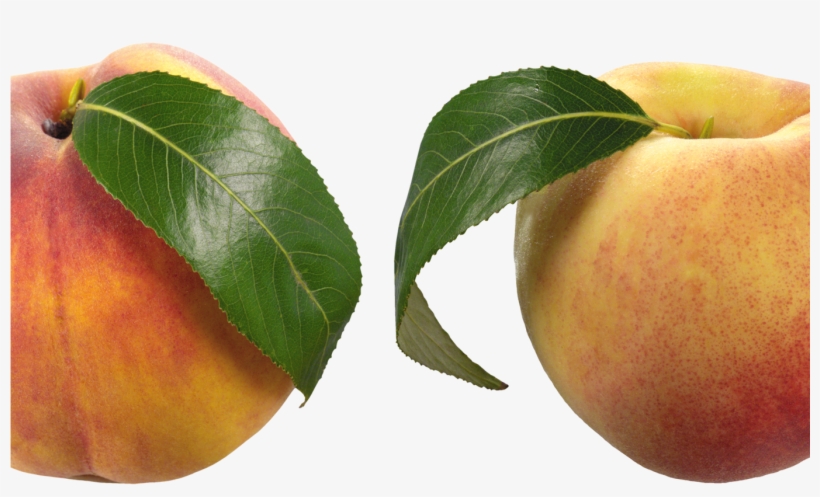 Peaches Png Clipart Picture Gallery Yopriceville High - Peach, transparent png