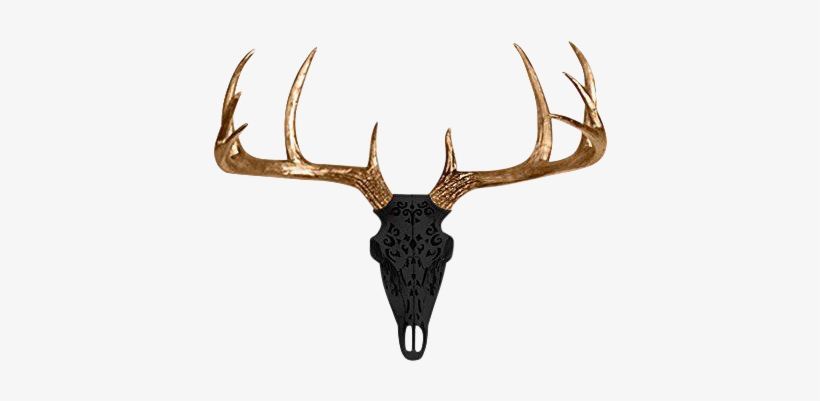 Deer Skull Png Clip Download - Elk - 438x356 PNG Download - PNGkit