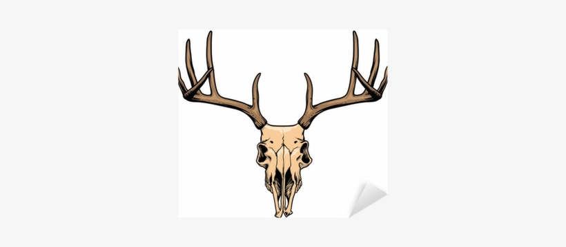 Deer Skull Drawing, transparent png