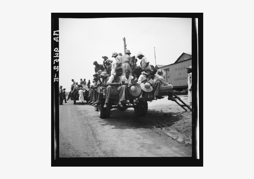 Peach Pickers Being Driven To The Orchards, Muscella, - Troop, transparent png