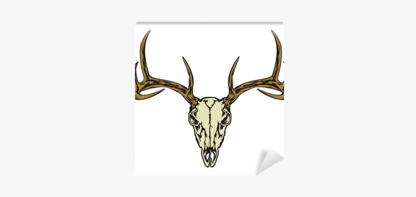 Deer Skull, transparent png