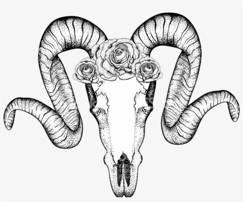 Report Abuse - Zentangle Ram Skulls, transparent png