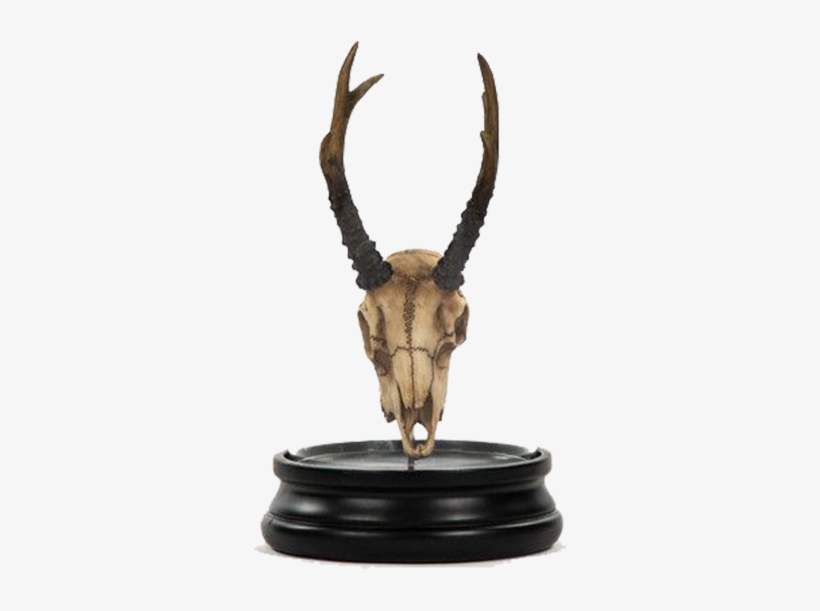 Deer Skull Statue With Cover, White, Artwork,polyresin,, transparent png